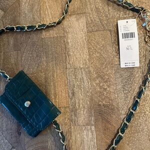 Anthropologie belt / wallet